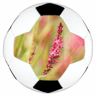 Balón De Fútbol colorido