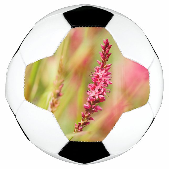 Balón De Fútbol colorido (Anverso)