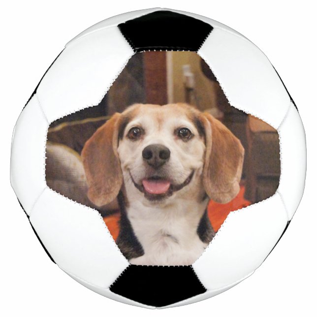Balón De Fútbol Corta tu propia foto Mascota Personalizado moderno (Anverso)
