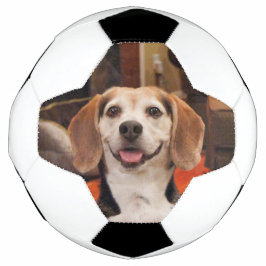 Balón De Fútbol Corta tu propia foto Mascota Personalizado moderno