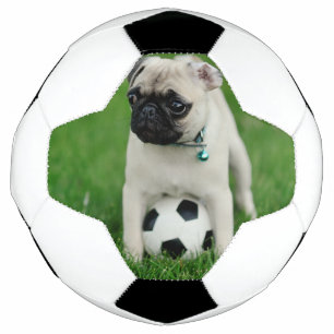 Balón De Fútbol Crea tu propia foto de mascota personalizada