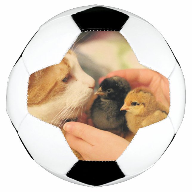 Balón De Fútbol Cuadros (Anverso)