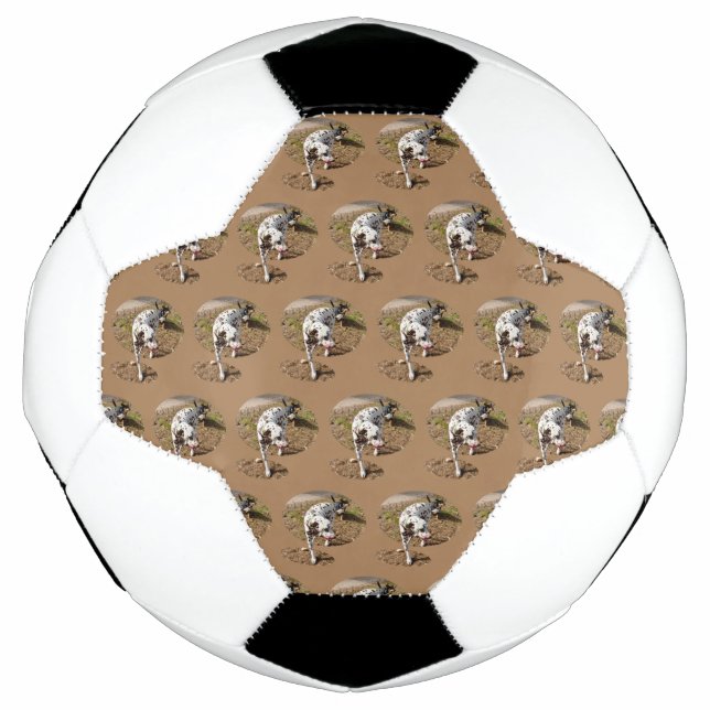Balón De Fútbol Dalmatiano marrón, (Anverso)