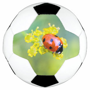 Balón De Fútbol dama encima
