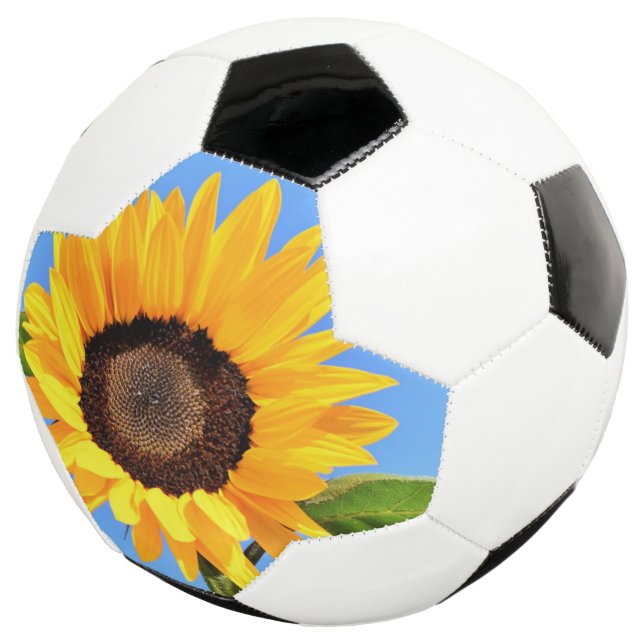 Balón de fútbol de girasol (Tres cuartos)