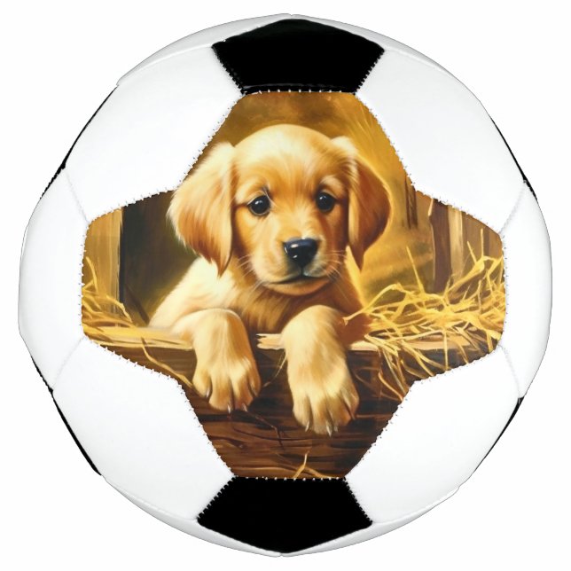 Balón de fútbol de trofeo personalizado (Anverso)