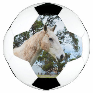 Balón De Fútbol Diversión turbia para caballo blanco, fútbol