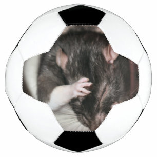 Balón De Fútbol ¡Dolor de cabeza!