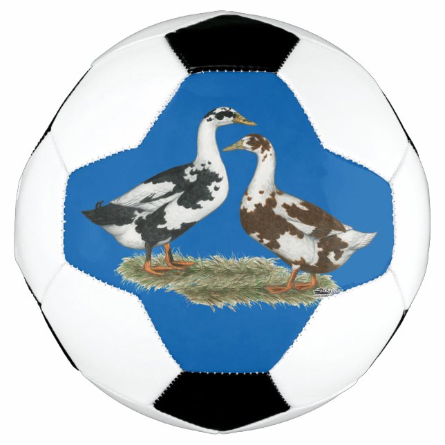 Balón De Fútbol Ducks Ancona Pair (Anverso)