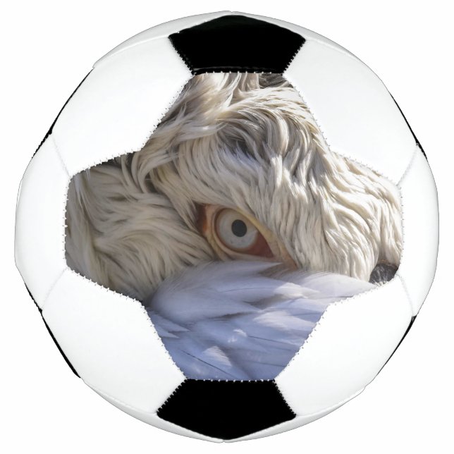 Balón De Fútbol El ojo de un pelícano (Anverso)