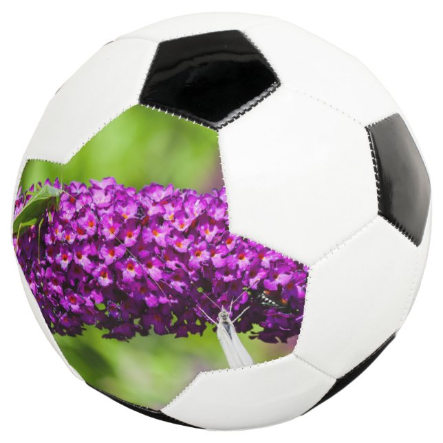 Balón De Fútbol energía de la katydid (Tres cuartos)