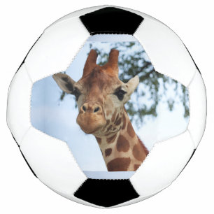 Balón De Fútbol Feliz jirafa cerrar Safari de vida salvaje