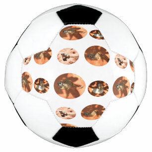 Balón De Fútbol Forma de bola de Meerkat, bola de fútbol