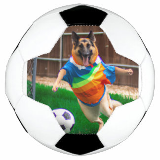 Balón De Fútbol Fútbol de Zelda
