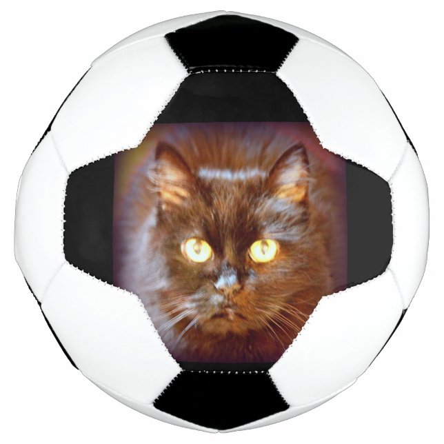 Balón De Fútbol gato negro (Anverso)