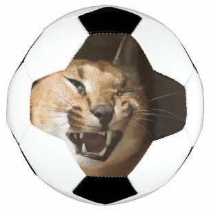 Balón De Fútbol Goofy Lynx