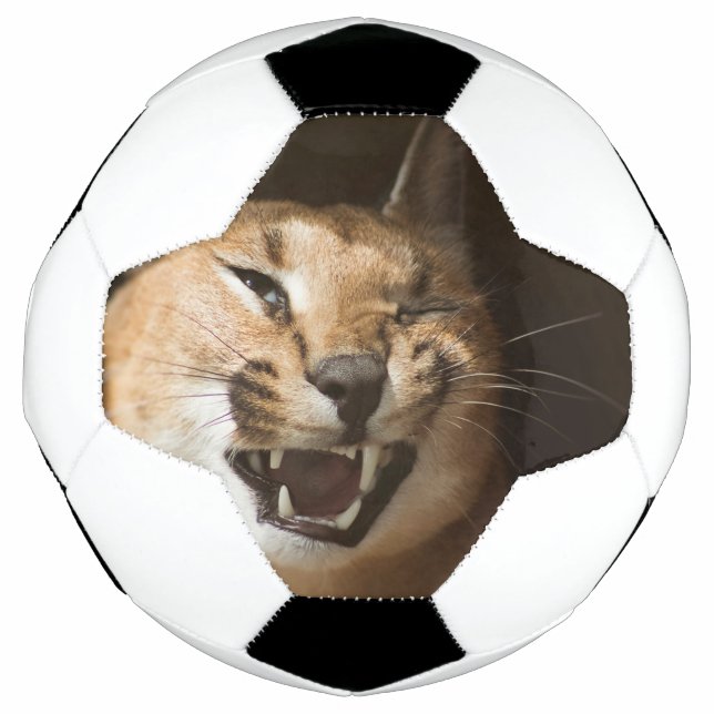 Balón De Fútbol Goofy Lynx (Anverso)