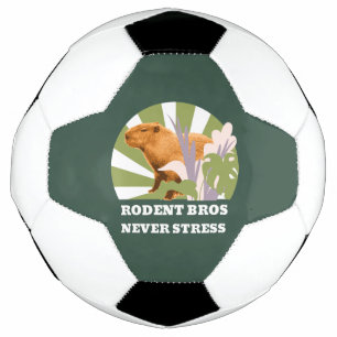 Balón De Fútbol Hermanos Roedores Nunca Estresan Capybara