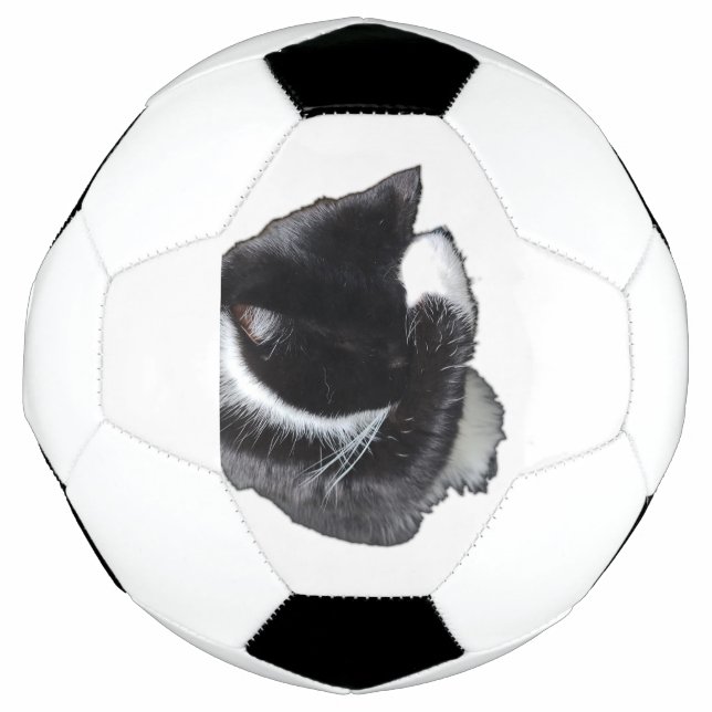 Balón De Fútbol I Can't Even Right Meow (Anverso)