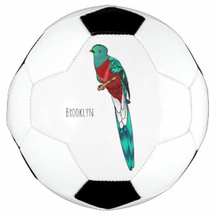 Balón De Fútbol Ilustracion de personalizado de aves quetzales res