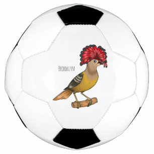 Balón De Fútbol Ilustracion personalizado de aves Royal flycatcher