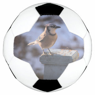Balón De Fútbol Jay azul