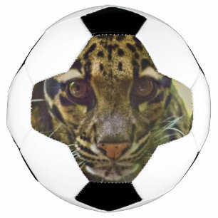 Balón De Fútbol Leopardo nublado
