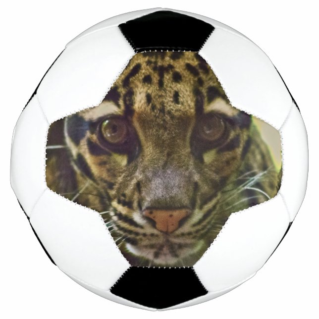 Balón De Fútbol Leopardo nublado (Anverso)