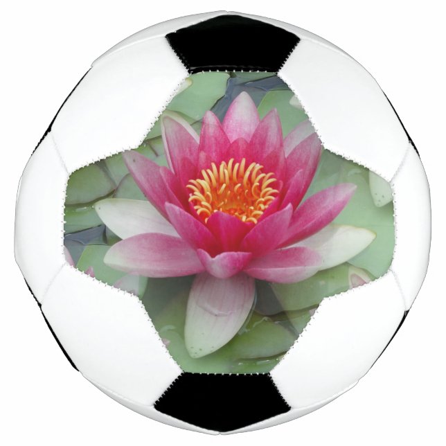 Balón De Fútbol Lirio de agua de Lotus rosa (Anverso)
