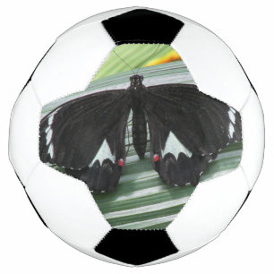Balón De Fútbol Mariposa tropical negra y blanca