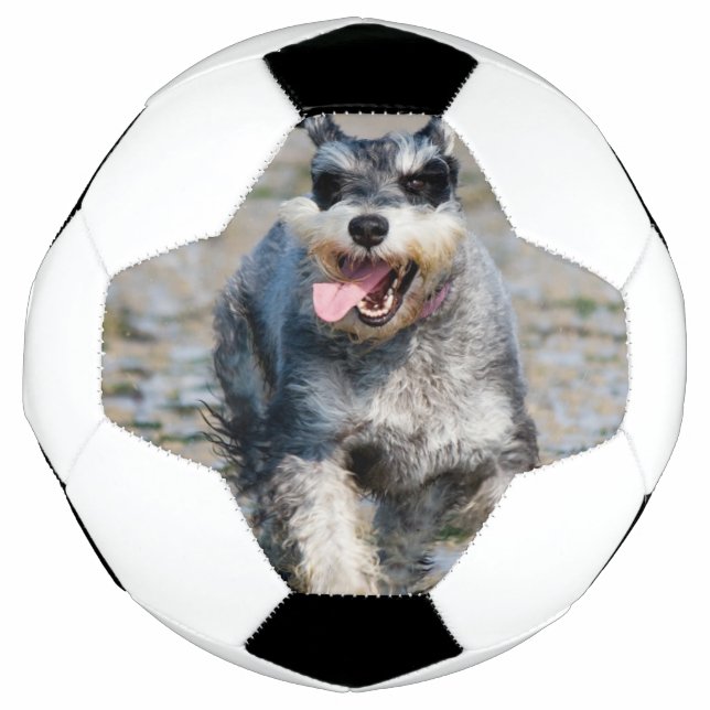 Balón De Fútbol mini schnauzer-run (Anverso)