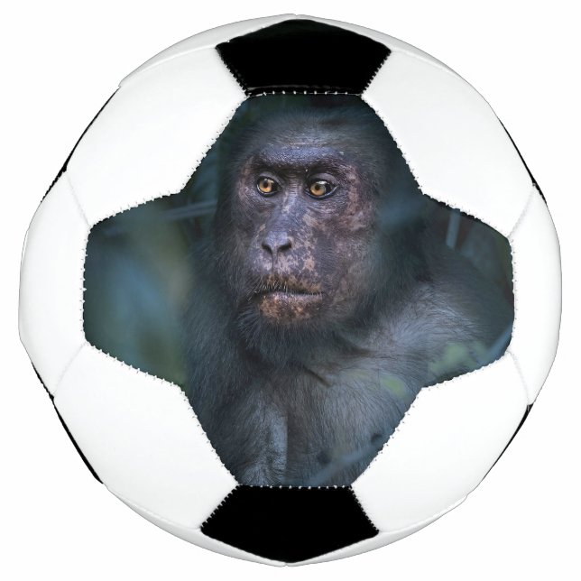 Balón De Fútbol Mono en la selva (Anverso)