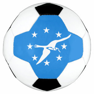 Balón de fútbol patriótico con bandera de Corpus C