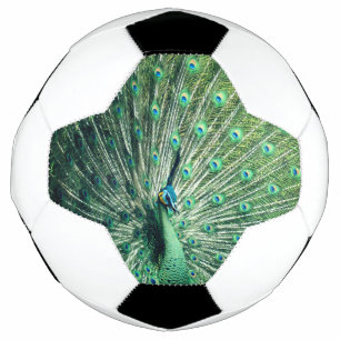 Balón De Fútbol Peacock Strut