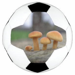 Balón De Fútbol Pequeñas toadstoides macrobola de fútbol