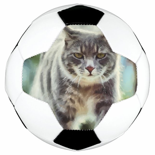 Balón De Fútbol Pintura de gato (Anverso)