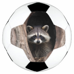 Balón De Fútbol Racoon en la cueva del árbol
