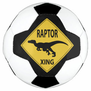 Balón De Fútbol Raptor Xing