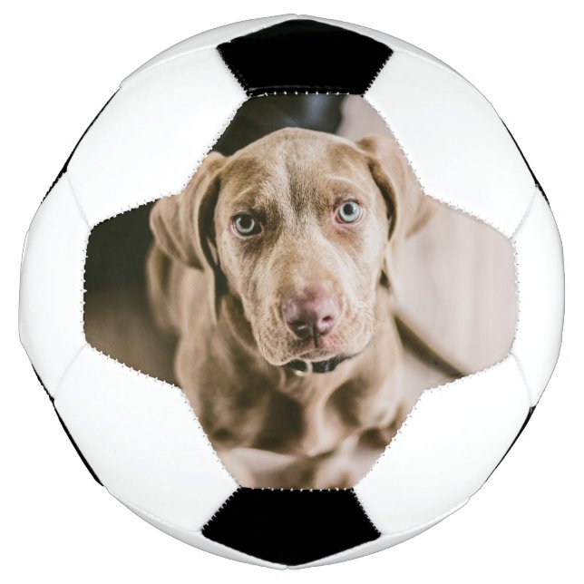 Balón De Fútbol Retrato de perro (Anverso)