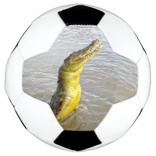 Balón De Fútbol Scary Snappers: El Salto del Cocodrilo,