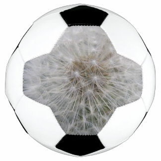 Balón De Fútbol Seeding Dandelion Flower Soccer Ball
