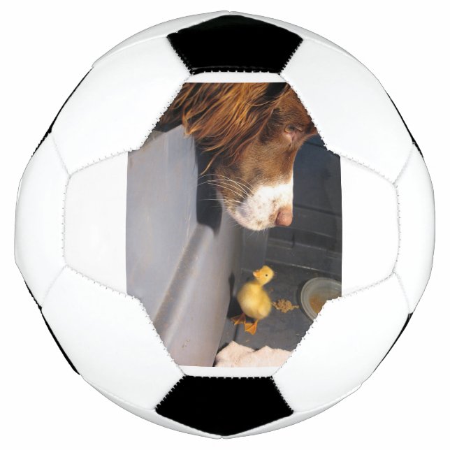 Balón De Fútbol spaniel w duckling (Anverso)