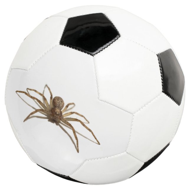 Balón De Fútbol Spider (Tres cuartos)