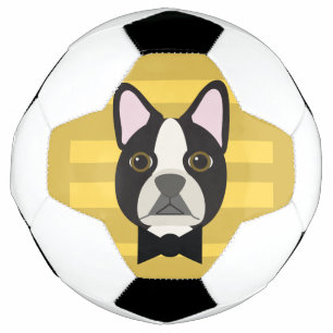 Balón De Fútbol Terrier de Boston