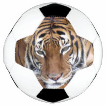 Tigre - Bola de fútbol