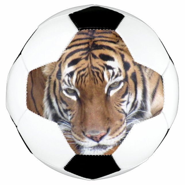 Balón De Fútbol Tigre - Bola de fútbol (Anverso)