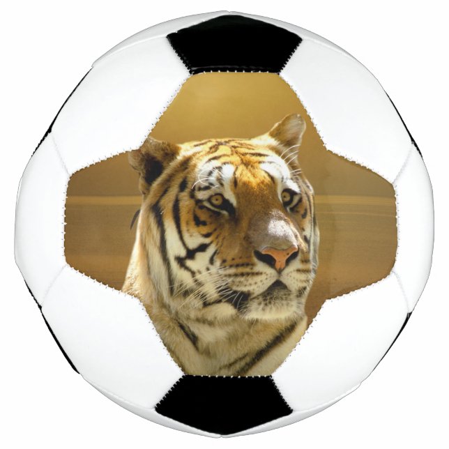 Balón De Fútbol Tigre dorado (Anverso)
