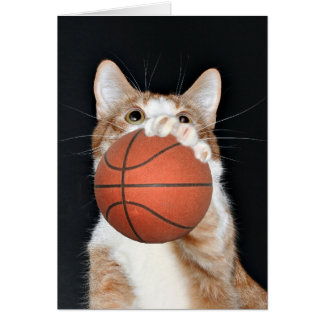 Baloncesto de gato