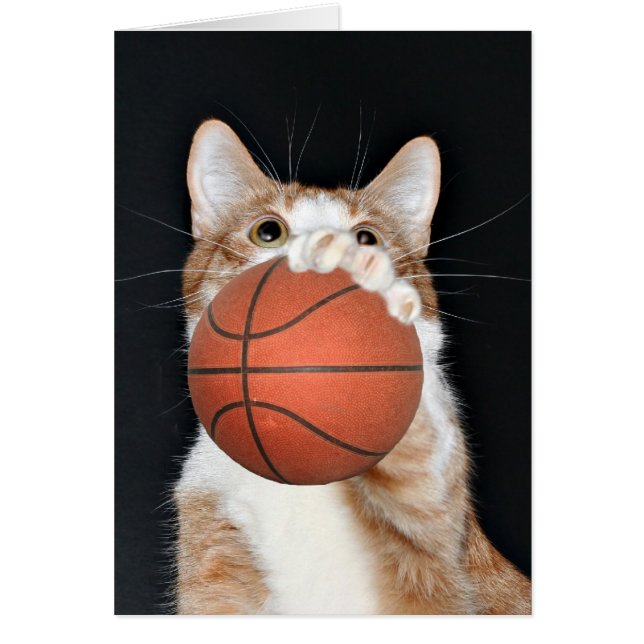 Baloncesto de gato (Frente)