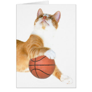 Baloncesto de gato